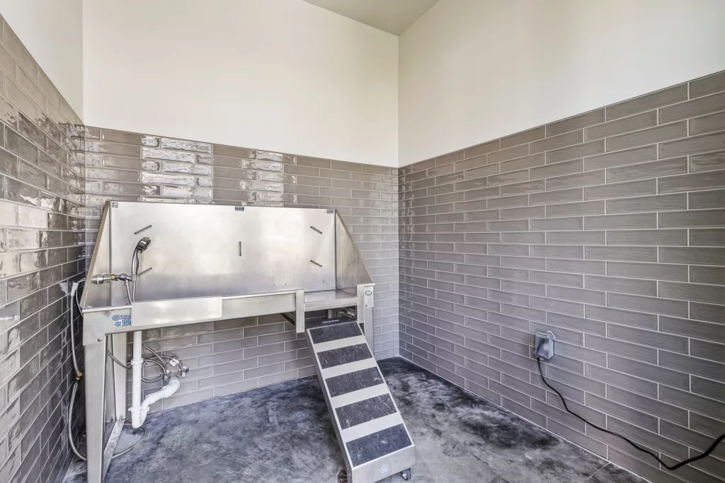 A stainless steel pet washing station with a non-slip ramp leading up to it, surrounded by glossy gray tiled walls and a concrete floor.